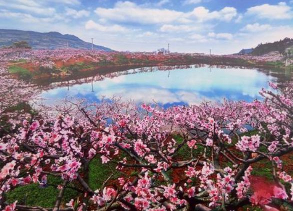 市政護欄廠家 市政護欄廠家