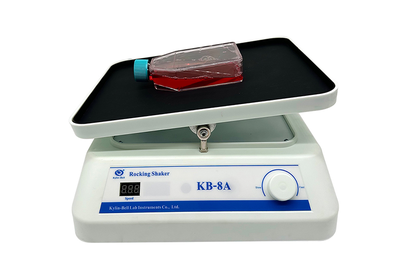 其林貝爾轉(zhuǎn)移脫色搖床KB-8A 其林貝爾轉(zhuǎn)移脫色搖床KB-8A